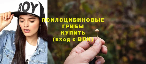 прущие грибы Алзамай