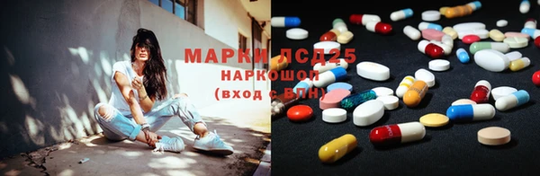 прущие грибы Алзамай