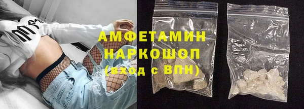 прущие грибы Алзамай