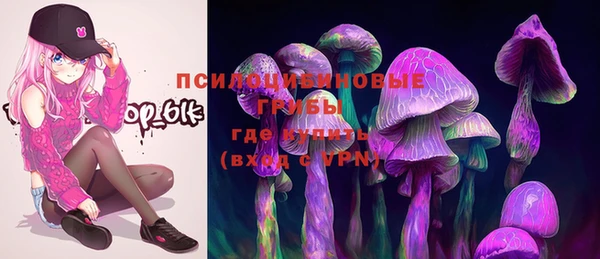 шишки Алексин