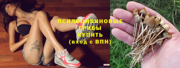 прущие грибы Алзамай